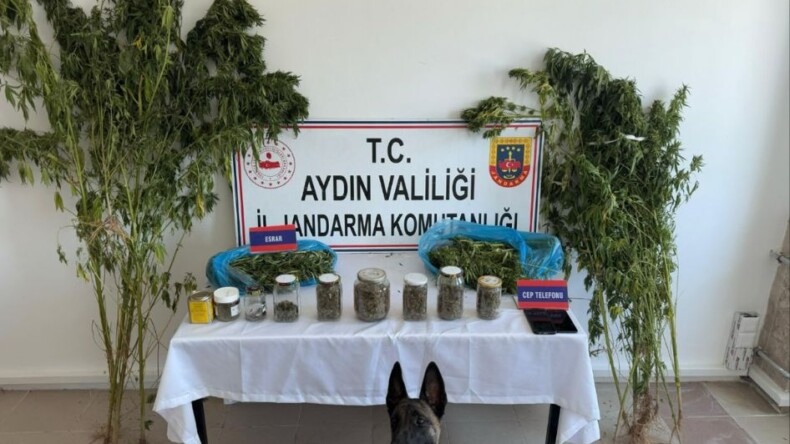 Aydın’da uyuşturucu operasyonu