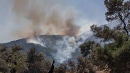 Köşk’teki yangın kontrol altına alındı