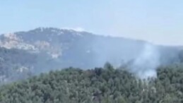 Karagözler’de Ormanlık Alanda Yangın