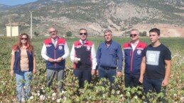 Pamukta Kalite ve Verimlilik İncelemesi Söke’de Devam Ediyor