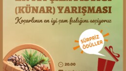 Festivalde En İyi Çam Fıstığı Yarışması