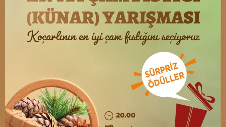 Festivalde En İyi Çam Fıstığı Yarışması