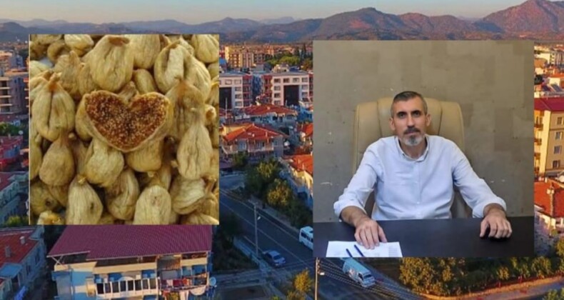 Germencik’te İncir Üreticileri 2025 Sezonunda Zorluk Yaşıyor