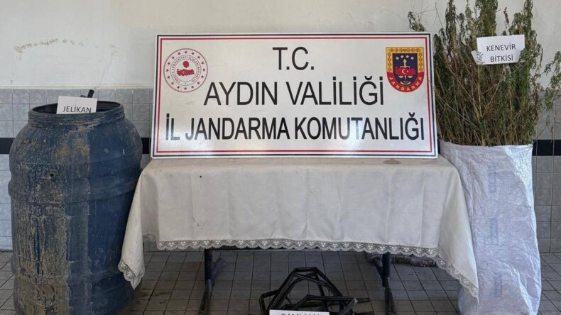 Buharkent’te İzinsiz Kenevir Ekimi Operasyonu