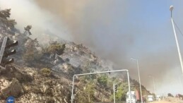 Aydın Söke’de Makilik Alanda Yangın