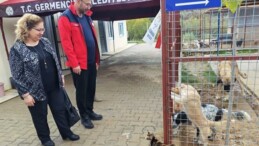 GERMENCİK’TE SOKAK HAYVANLARI REHABİLİTASYON MERKEZİ AÇILIŞA GÜN SAYIYOR