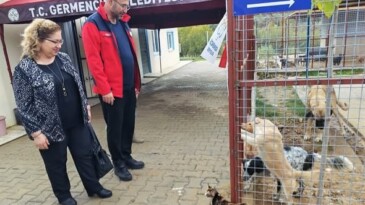 GERMENCİK’TE SOKAK HAYVANLARI REHABİLİTASYON MERKEZİ AÇILIŞA GÜN SAYIYOR
