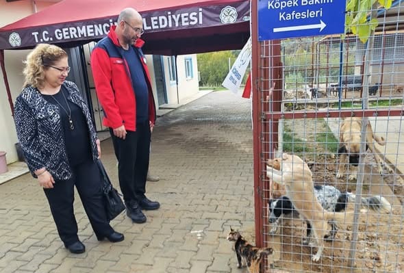 GERMENCİK’TE SOKAK HAYVANLARI REHABİLİTASYON MERKEZİ AÇILIŞA GÜN SAYIYOR