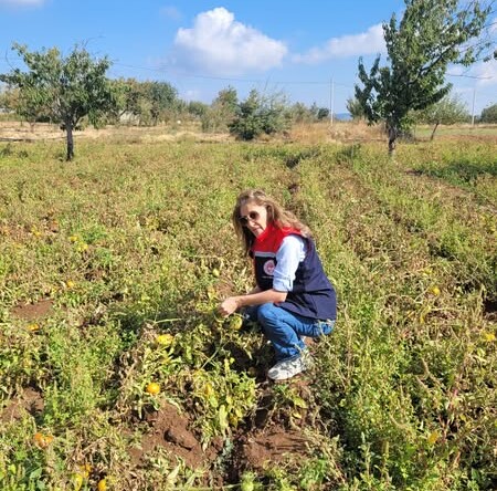 BUHARKENT’TE HASAT ÖNCESİ PESTİSİT DENETİMLERİ DEVAM EDİYOR