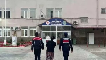 Aydın’da Aranan Şahıslara Jandarma Darbesi