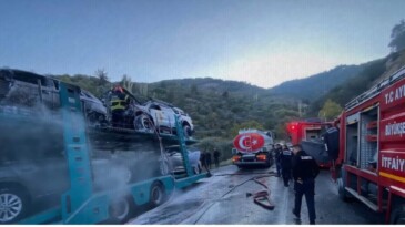 Bozdoğan’da Araç Yüklü Tır Alev Aldı: Araçlar Kullanılamaz Hale Geldi