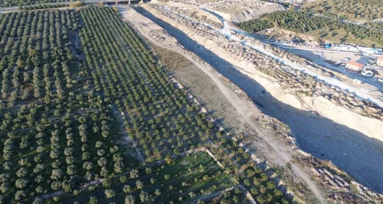 Buharkent’te 2. Etap İlek Bahçesi’nde Çalışmalar Başladı