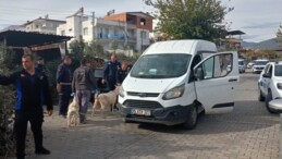Germencik’te Başıboş Keçilere Ortak Operasyon: Şikâyetler Üzerine Harekete Geçildi