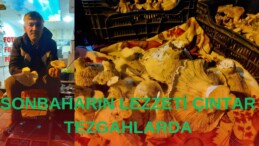 SONBAHARIN LEZZETİ ÇINTAR TEZGAHLARDA