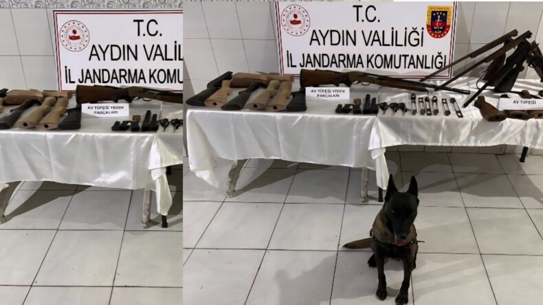 Bozdoğan’da Ruhsatsız Silah Operasyonu: 1 Gözaltı