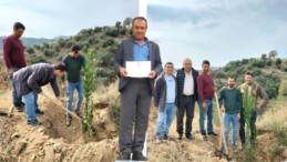 ALMAN FİRMA PALAMUT MAHALLESİNE 200 ADET DEFNE FİDANI DİKTİ