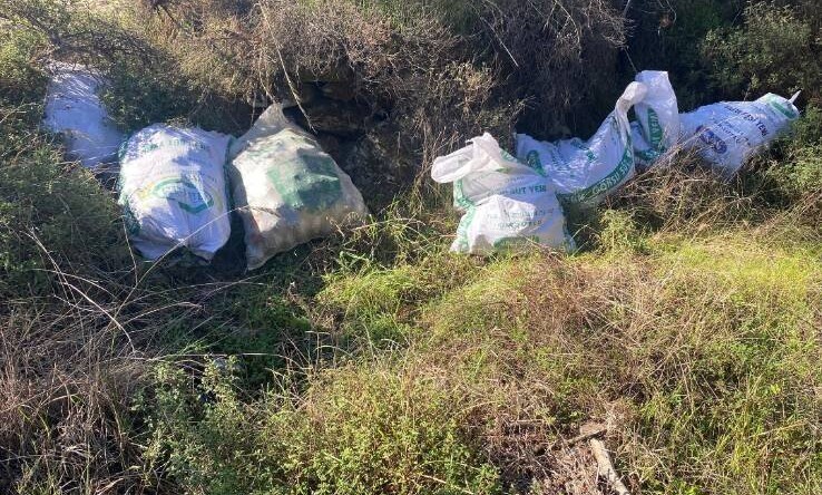 Jandarma Çine’deki Çam Fıstığı Hırsızlığını Kısa Sürede Aydınlattı