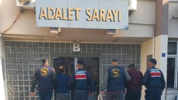 Efeler’de Zeytin Hırsızlığı: 400 Kilo Zeytin Fabrikaya Satılmış