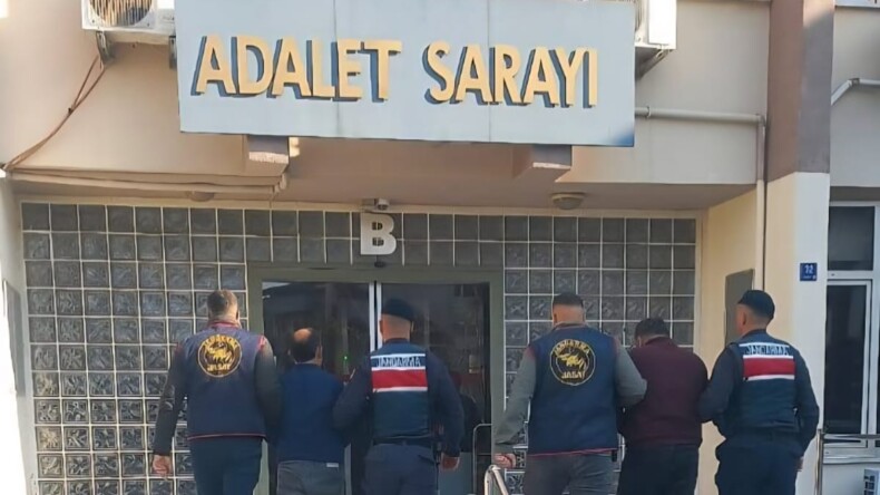 Efeler’de Zeytin Hırsızlığı: 400 Kilo Zeytin Fabrikaya Satılmış