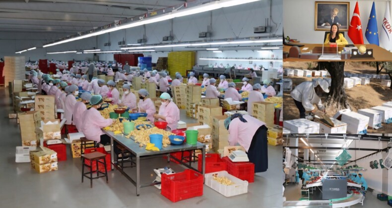  TKDK IPARD Destekleriyle Aydın Tarımı Güçleniyor: 92 Milyon Avro Hibe, 220 Milyon Avroluk Yatırım