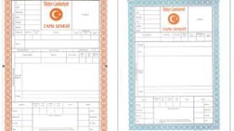 TAPU RENKLERİ NE ANLAMA GELİYOR? VATANDAŞLARA ÖNEMLİ UYARI