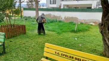 BAŞKAN ANIL YETİŞKİN’LE EFELER’İN YEŞİ ALANLARI TERTEMİZ