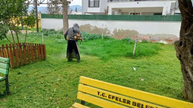 BAŞKAN ANIL YETİŞKİN’LE EFELER’İN YEŞİ ALANLARI TERTEMİZ