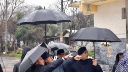 Sahada Yerinde İnceleme, Koordineli Müdahale