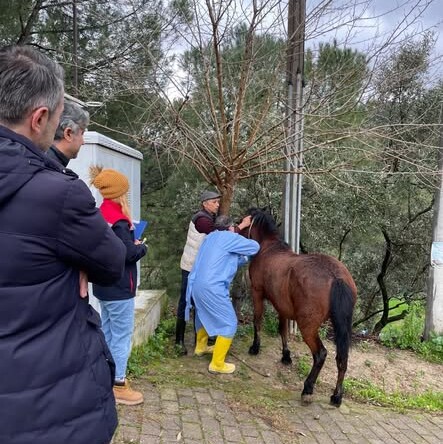 🐎 İncirliova’da Hayvan Sağlığı İçin Saha Çalışmaları Devam Ediyor