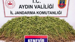 Nazilli’de Uyuşturucu Operasyonu: 1 Şüpheli Tutuklandı