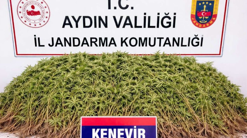 Nazilli’de Uyuşturucu Operasyonu: 1 Şüpheli Tutuklandı