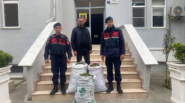 Germencik’te İncir Bahçesinden Hırsızlık Yapan Şüpheli Suçüstü Yakalandı