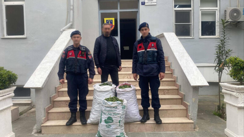 Germencik’te İncir Bahçesinden Hırsızlık Yapan Şüpheli Suçüstü Yakalandı