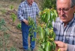 İYİ Parti Kuyucak İlçe Başkanı Fahrettin Kemik’ten Dolu Afeti Çağrısı: “Kuyucak Doğal Afet Bölgesi İlan Edilmeli”