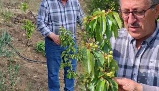 İYİ Parti Kuyucak İlçe Başkanı Fahrettin Kemik’ten Dolu Afeti Çağrısı: “Kuyucak Doğal Afet Bölgesi İlan Edilmeli”
