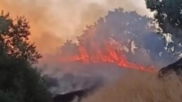 KEMER MAHALLESİ’NDE ZİRAİ ALANDA YANGIN KORKUTTU
