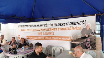 SOKAK HAYVANLARI İÇİN ANLAMLI DAYANIŞMA