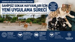 Germencik Belediyesi’nden Sahipsiz Sokak Hayvanları Hakkında Önemli Duyuru
