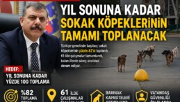 BAKAN ÇİFTÇİ: “YIL SONUNA KADAR SOKAK KÖPEKLERİNİN TAMAMI TOPLANACAK”
