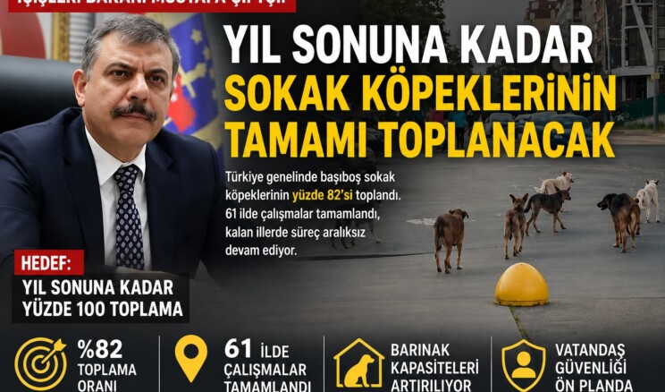 BAKAN ÇİFTÇİ: “YIL SONUNA KADAR SOKAK KÖPEKLERİNİN TAMAMI TOPLANACAK”