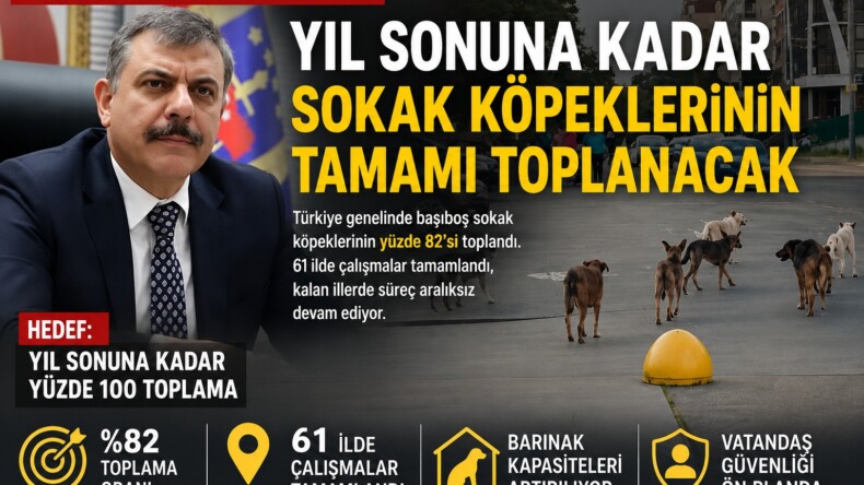 BAKAN ÇİFTÇİ: “YIL SONUNA KADAR SOKAK KÖPEKLERİNİN TAMAMI TOPLANACAK”