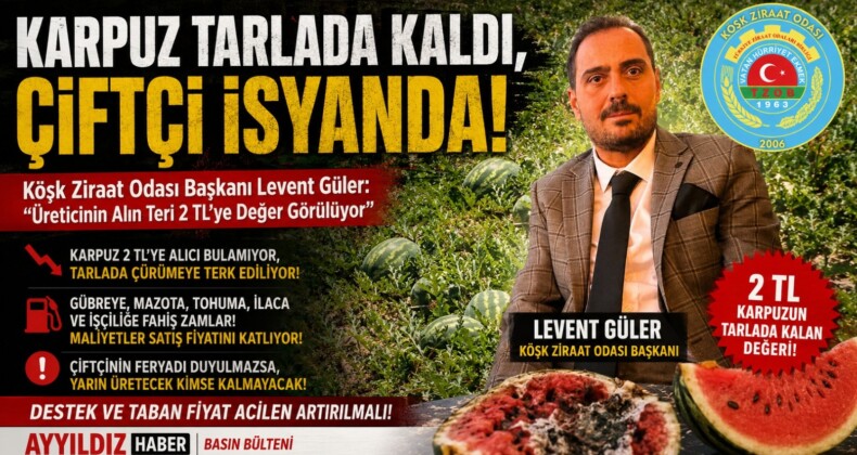 KARPUZ TARLADA KALDI, ÇİFTÇİ İSYANDA!