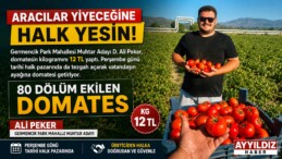 Aracılar Değil Halk Kazansın: Ali Peker Domatesi 12 TL’den Vatandaşla Buluşturuyor
