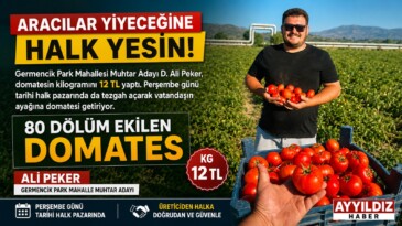 Aracılar Değil Halk Kazansın: Ali Peker Domatesi 12 TL’den Vatandaşla Buluşturuyor