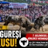  Germencik’te Boğa Güreşi Coşkusu: 7. Geleneksel Festival Binlerce Vatandaşı Buluşturdu