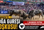  Germencik’te Boğa Güreşi Coşkusu: 7. Geleneksel Festival Binlerce Vatandaşı Buluşturdu
