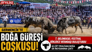  Germencik’te Boğa Güreşi Coşkusu: 7. Geleneksel Festival Binlerce Vatandaşı Buluşturdu