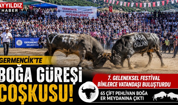  Germencik’te Boğa Güreşi Coşkusu: 7. Geleneksel Festival Binlerce Vatandaşı Buluşturdu