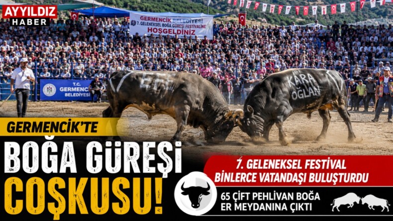  Germencik’te Boğa Güreşi Coşkusu: 7. Geleneksel Festival Binlerce Vatandaşı Buluşturdu