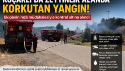 Koçarlı’da Zeytinlik Alanda Korkutan Yangın: Ekiplerin Hızlı Müdahalesiyle Kontrol Altına Alındı